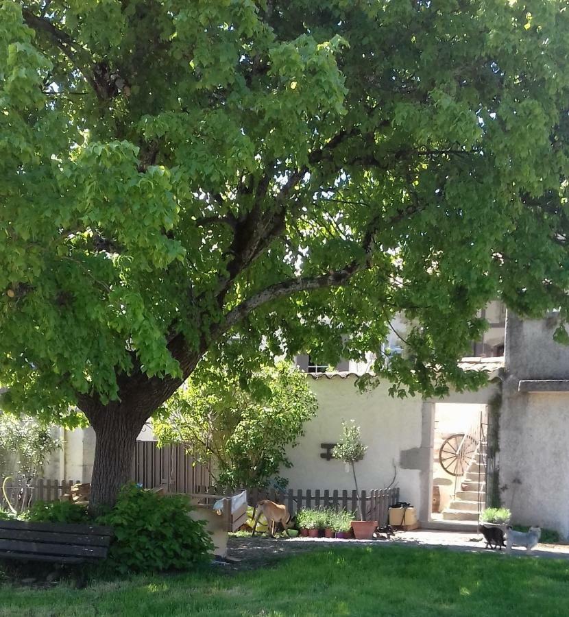 Willa Le Patio Aux Hirondelles Lagorce  Zewnętrze zdjęcie
