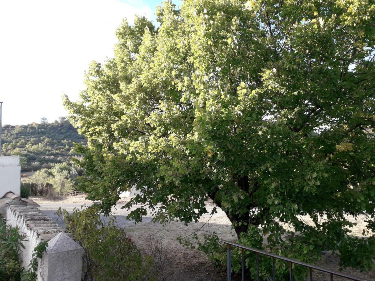 Willa Le Patio Aux Hirondelles Lagorce  Zewnętrze zdjęcie