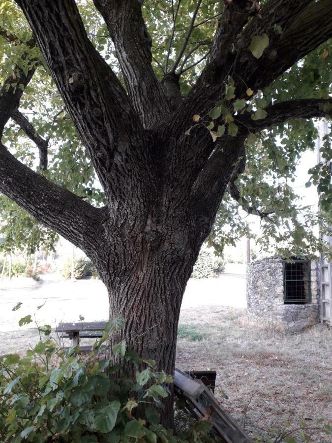 Willa Le Patio Aux Hirondelles Lagorce  Zewnętrze zdjęcie
